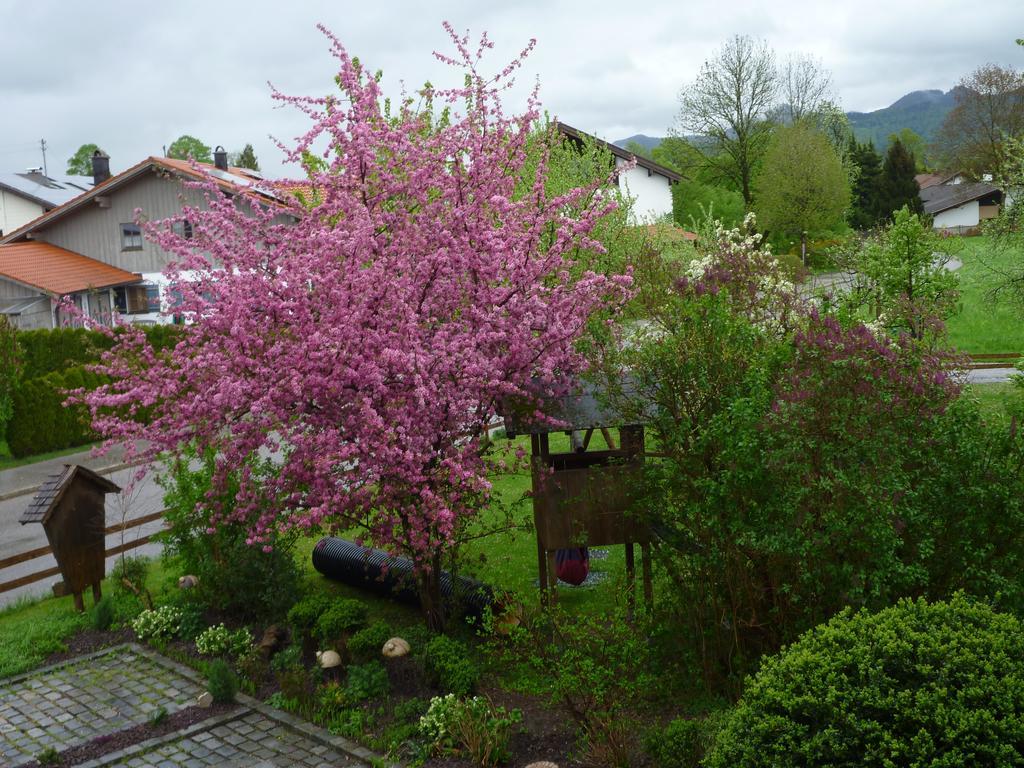 Donebauer Übersee