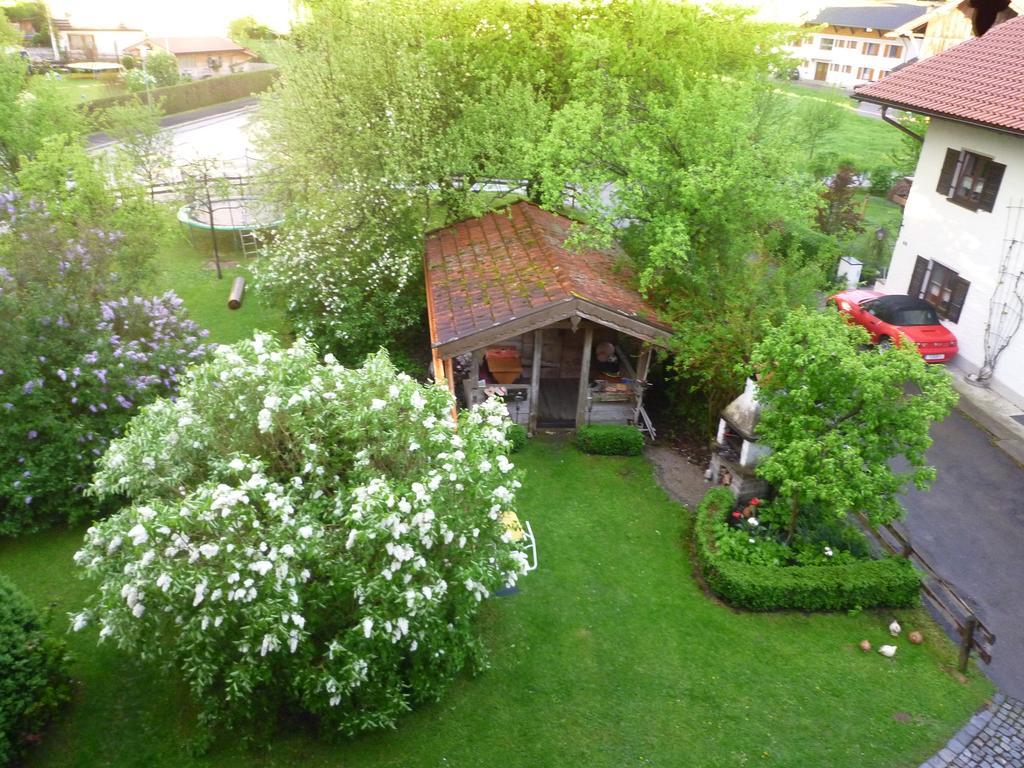 Donebauer Apartment