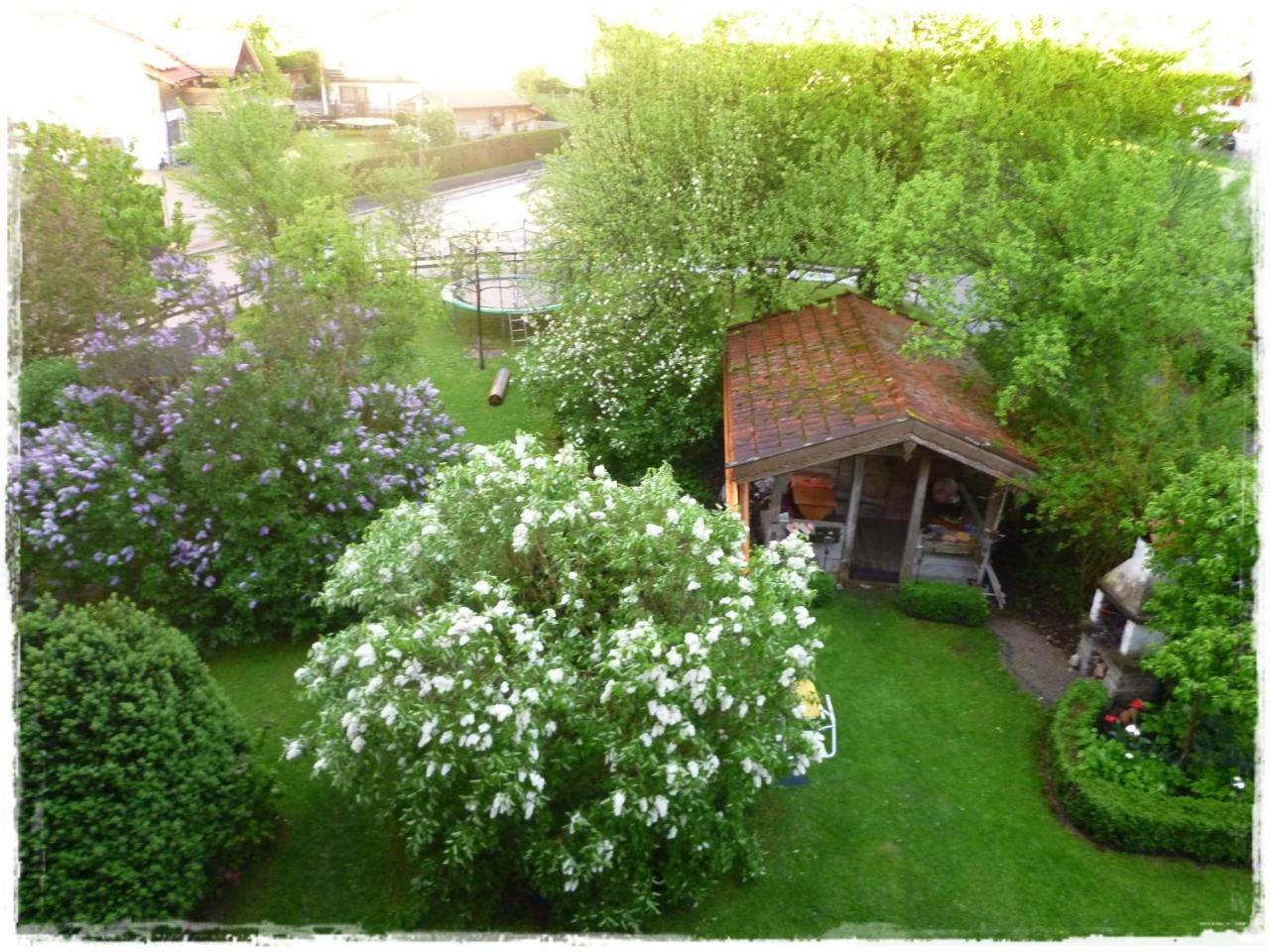 Donebauer Apartment